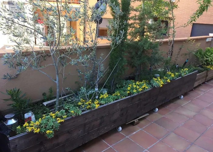 Biok Ordesa-monte Perdido' Apartamento Aínsa