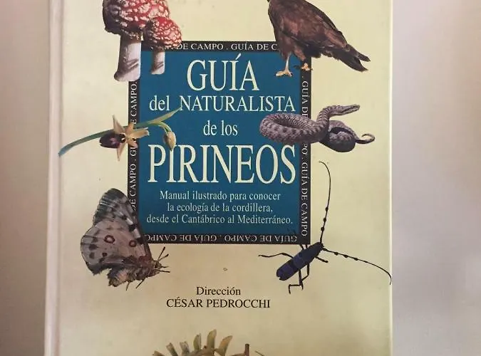 Biok Ordesa-monte Perdido' *